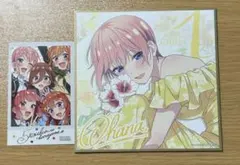 五等分の花嫁 映画特典 中野一花 ミニ色紙 ブロマイド 2点セット