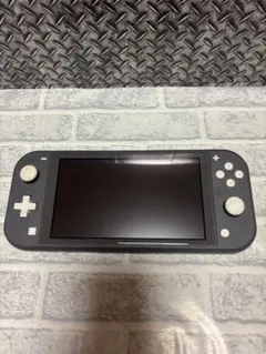 Nintendo Switch Lite 本体