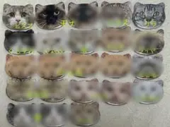 れいん様専用ページ