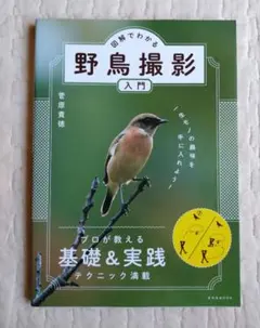 野鳥撮影入門