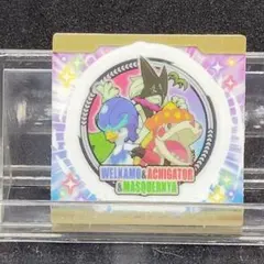 ポケモン スナック シール マスカーニャ アチゲータ ウェルカモ