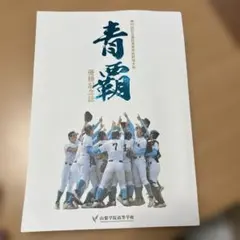 2026年最新】山梨学院野球の人気アイテム - メルカリ