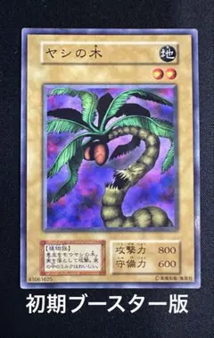 遊戯王 ヤシの木 初期