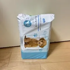 Item thumbnail for item a7485d47-e011-4b35-83fa-26f0604c504f