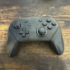 Nintendo Pro Controller ブラック