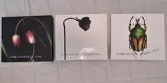 JYJ COME ON OVER DVD ジェジュン ユチョン ジュンス