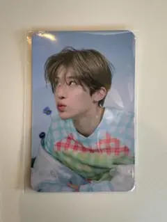 NCTWISH songbird シオン トレカ