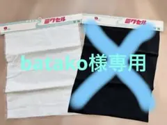 Item thumbnail for item 244df082-51ac-442d-85b2-6e1c7914c153