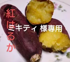 ミキティ 様専用