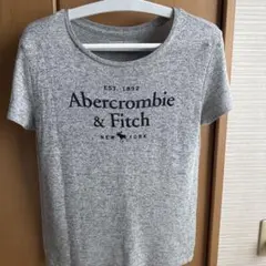 Abercrombie & Fitch Mニットプルオーバー　グレー