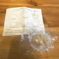 うちの子のけだまだま 犬のけだまだま ポメラニアン