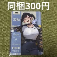 NIKKE メタリックパス ソラ