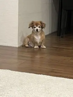 確認用