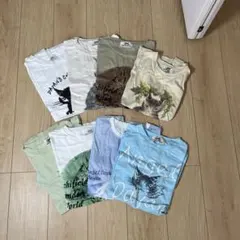 汚れあり　猫　ダヤン　わちふぃーるど　Tシャツ8枚　(2B7枚　2A1枚）