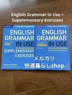 English Grammar in Use + Supplementary E