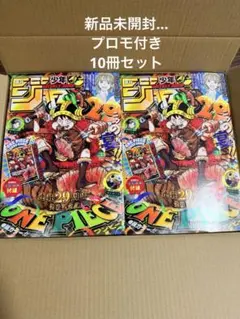 週刊少年ジャンプ ONE PIECE 連載29周年記念号 10冊付録付き即日発送