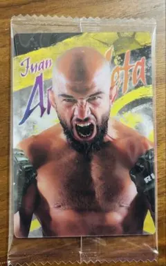 RIZINウエハース アーチュレッタ選手