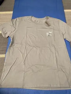 ハワイ限定 Patagonia Tシャツ