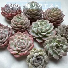 りの☆様 リクエスト 2点 まとめ商品