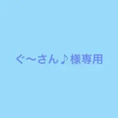 ぐ～さん♪様専用