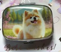 ⚠️フォロワー様感謝SALE⚠️ハンドメイド レジン ポメラニアン ピルケース