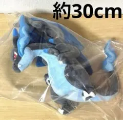 ポケモン メガリザードンX ぬいぐるみ　ALL STAR