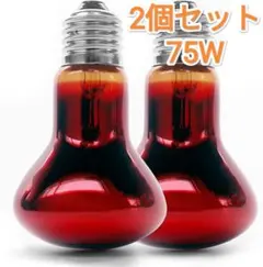 Item thumbnail for item eeea6ab7-2332-4a99-a5c2-1f1fe5cd2630