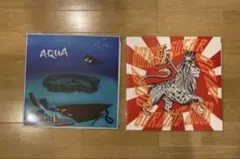 2026年最新】Gottz aquaの人気アイテム - メルカリ