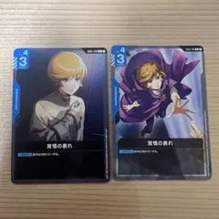 たかてぃん様 リクエスト 2点 まとめ商品