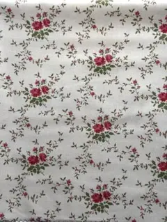 Item thumbnail for item 03aeab38-a0a7-446d-91c2-dadb63e38238