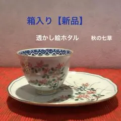 有田焼　其泉作　ホタル手花草文5枚セット 有田焼 其泉 賞美堂 ホタル手草花文 5客 ビールコップ揃 透かし - メルカリ