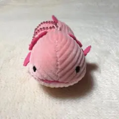 ウーパールーパー ぬいぐるみ マスコット ピンク