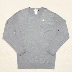 Item thumbnail for item 8a859d98-6b20-44b2-bd4d-208c88965f92