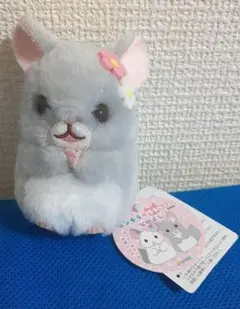 チンチラのララちゃん なかよし VMC