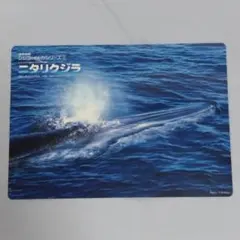 遠洋水研 クジラ・イルカシリーズ② ニタリクジラ 下敷きのサムネイル