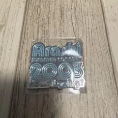 嵐 ライブロゴマグネット We are ARASHI ④