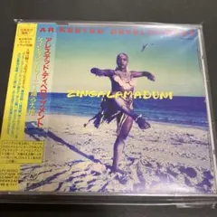 2026年最新】ZINGALAMADUNIの人気アイテム - メルカリ