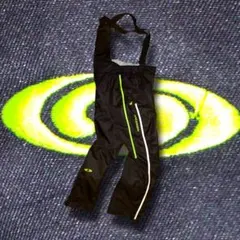 し*あ様 [レア]salomonサロモン旧ロゴ 中綿ナイロンシェルパンツ 刺繍ロ