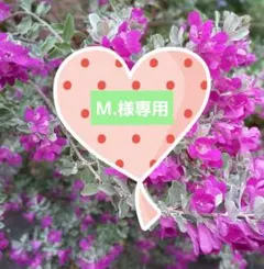 M.（プロフィール必読）様 リクエスト 2点 まとめ商品