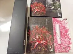 POLA B.A ローション イマース 120mL リフィル - メルカリ