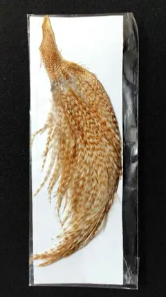 2025年最新】フライマテリアルの人気アイテム - メルカリ