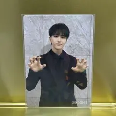 SEVENTEEN fc更新特典 トレカ ホシ