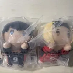 ハイキュー　影山飛雄　孤爪研磨　ちょこのっころりんぬいぐるみ　一番くじ