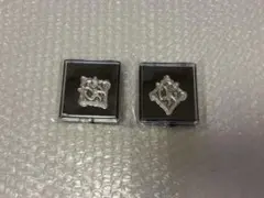 ASSHC カルナイ ピンズ