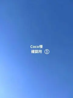 Coco様　確認用①