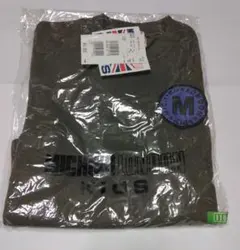 Item thumbnail for item 3b1e159b-a549-4840-b412-279171ab6c87