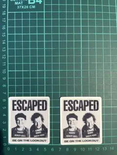 ★2枚セット★耐水ステッカー ホームアローン 映画 ハリー マーブ