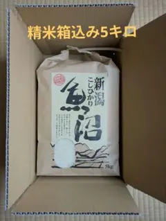 2026年最新】魚沼産コシヒカリの人気アイテム - メルカリ