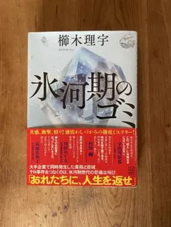 氷河期のゴミ