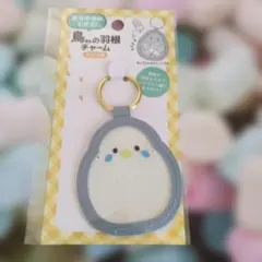 블루버드 페더 참